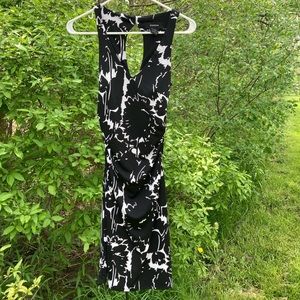 Express Fitted Dress